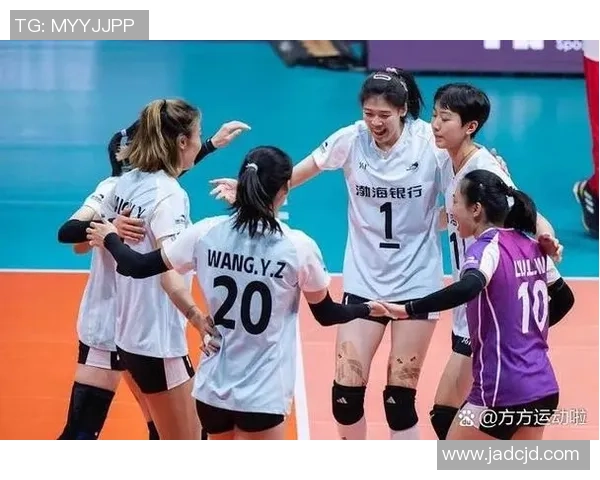 南京排球队实力强劲排球个人能力排行榜揭晓第5名荣誉