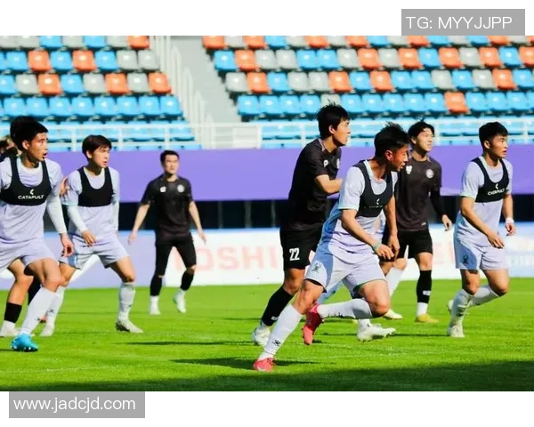 杭州足球队挑战赛点评团队协作表现分析与未来发展建议 杭州足球队挑战赛点评团队协作表现分析与未来发展建议