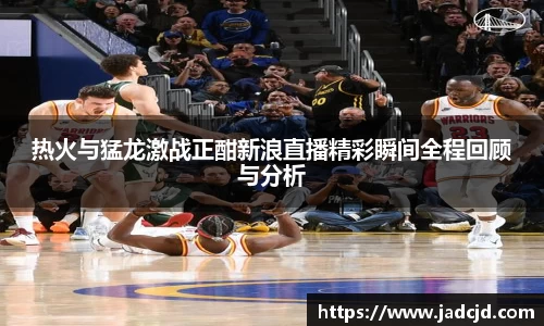 热火与猛龙激战正酣新浪直播精彩瞬间全程回顾与分析